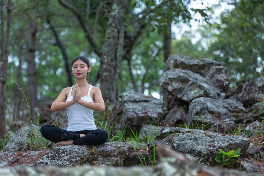 what is pranayama