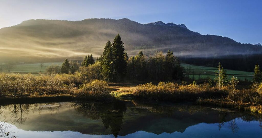 high priestess tarot