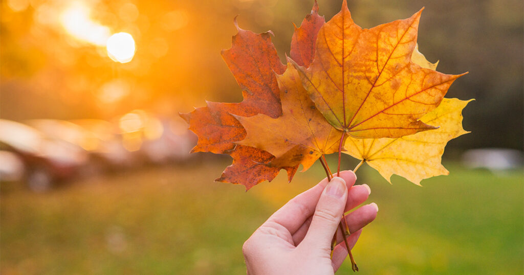 teachings of bhagavad gita