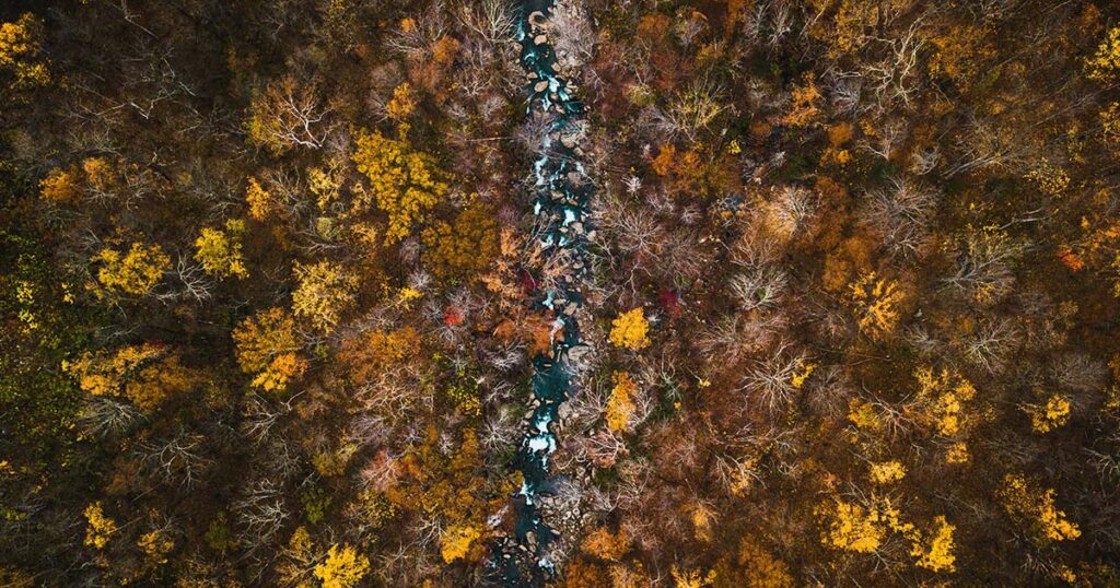 finding joy during difficult times