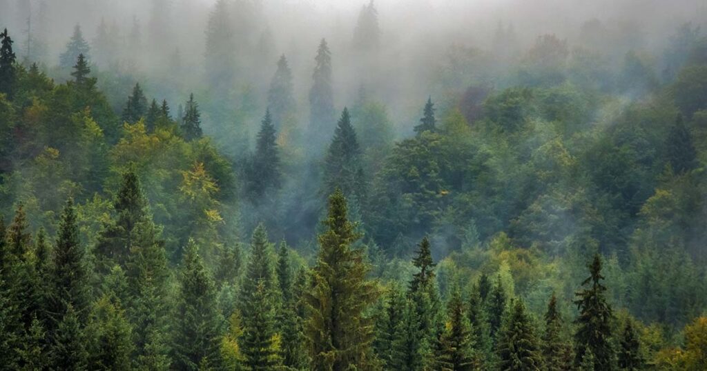 positive affirmations