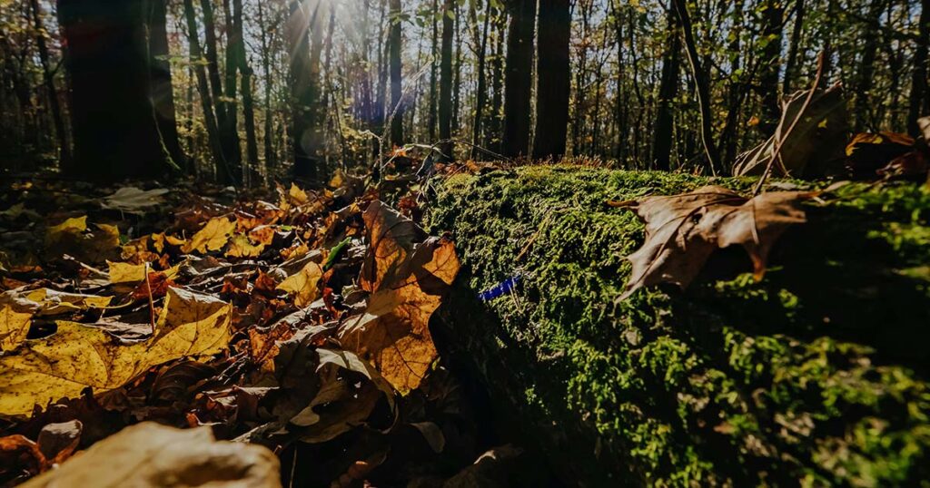 how to break out of laziness