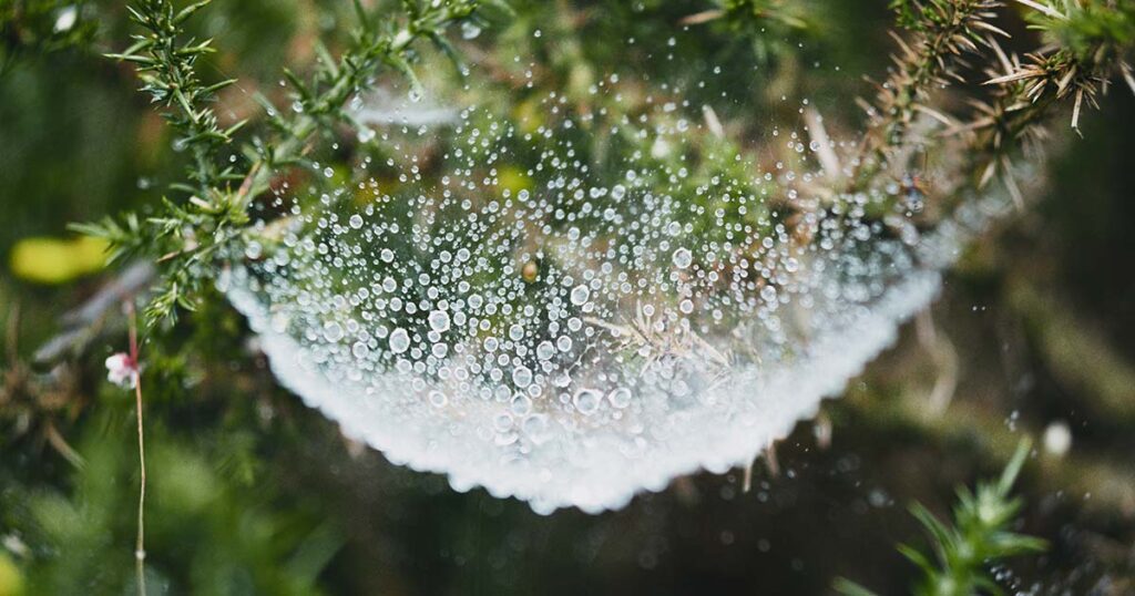 self healing meditation