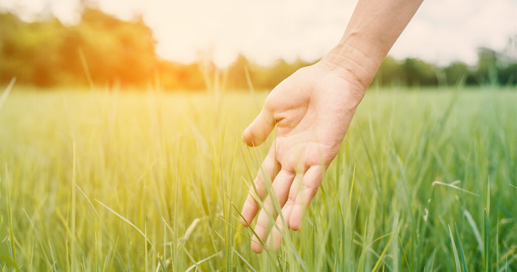 affirmations for fear