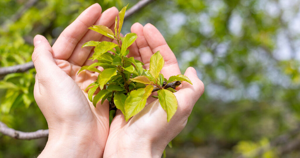 overcome instant gratification