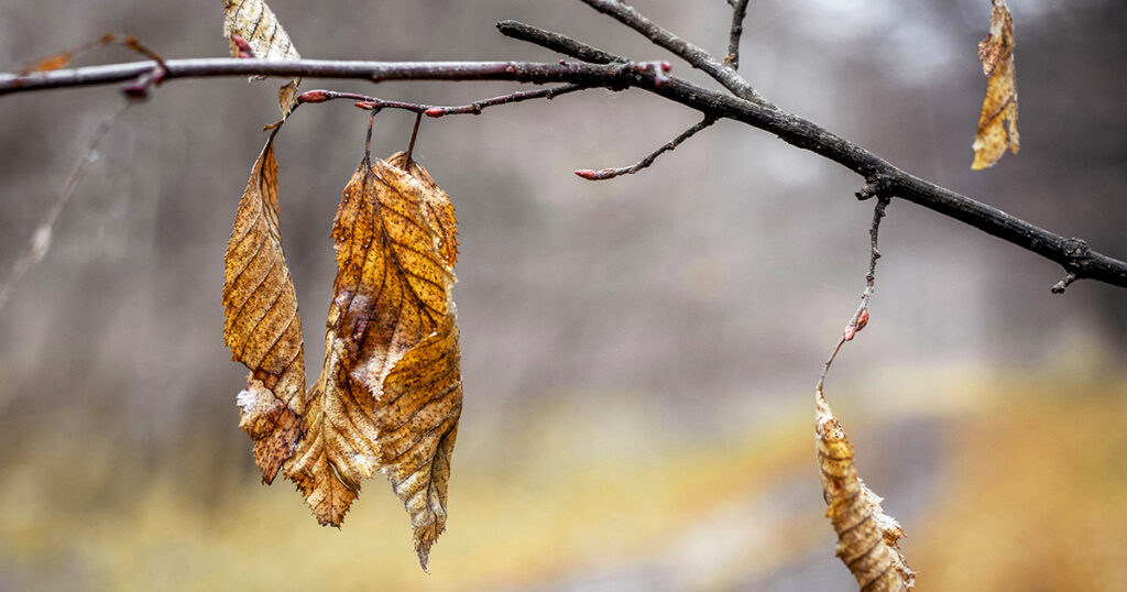 affirmations for procrastination