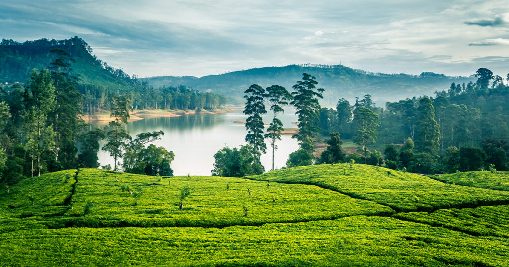 how do i get to know myself better